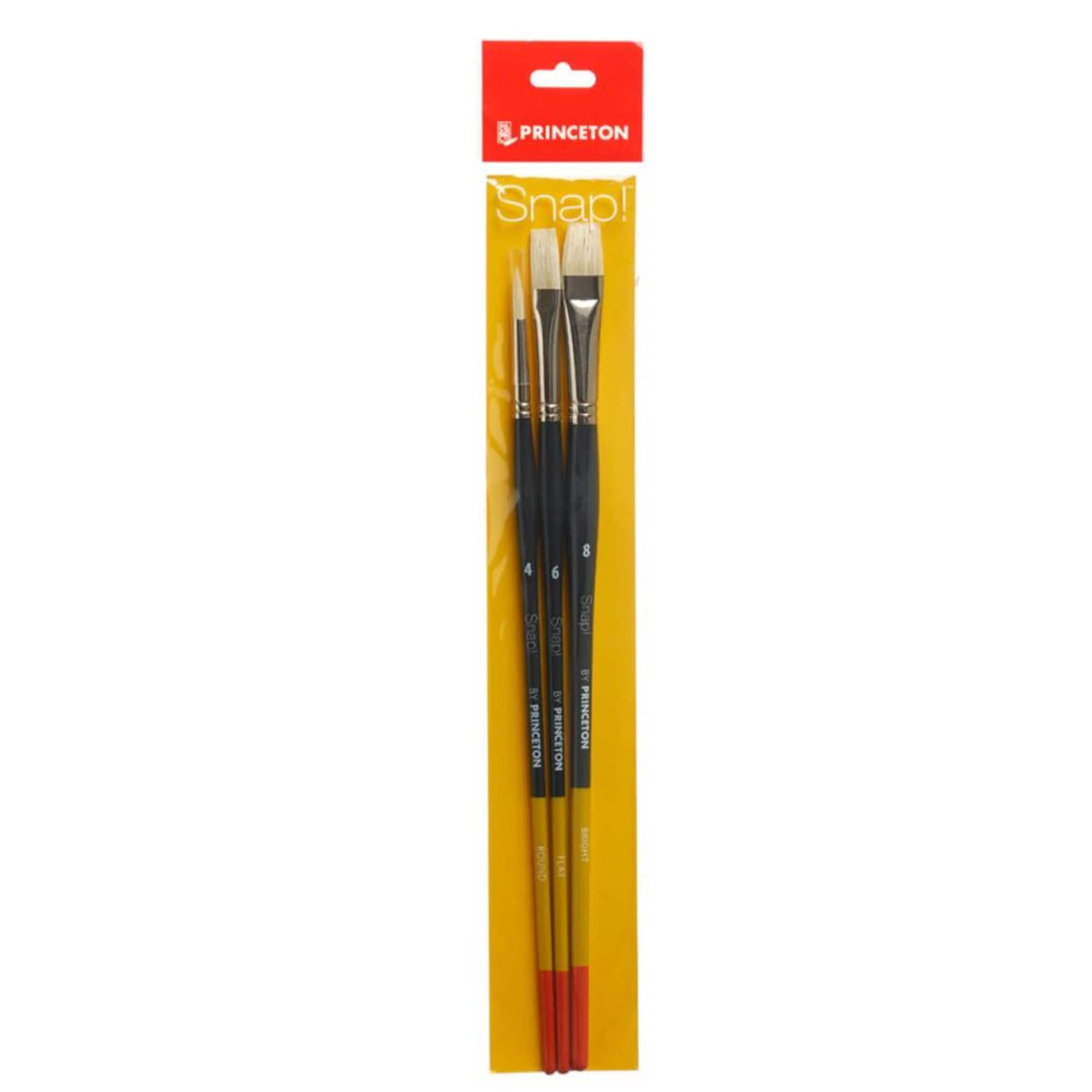 Princeton™ Snap!™ Series 9700 Bristle 3 Piece Brush Set